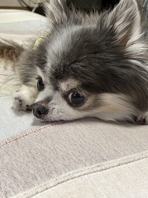 無事に退院することが出来ました‪ஐ‬  ̫