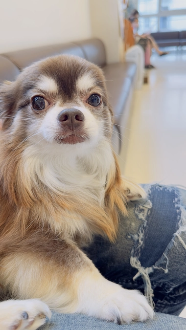 最近咳が前より少し増えてきました。。。