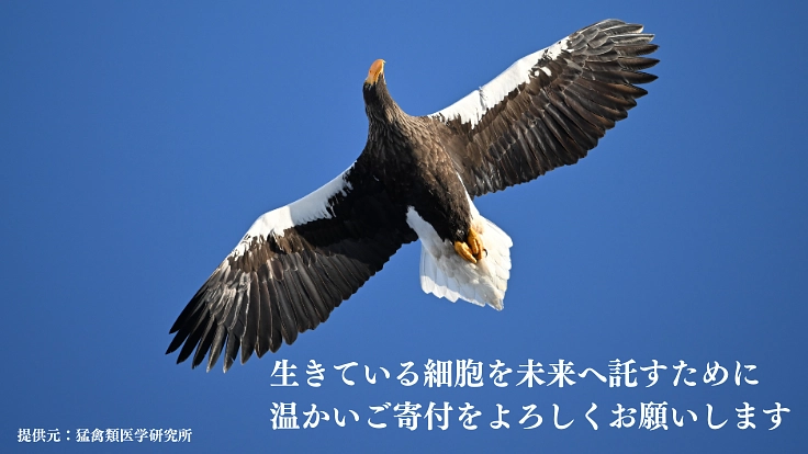 絶滅危惧種の多様性を未来に残すため、細胞保存のタイムカプセルを! 7枚目