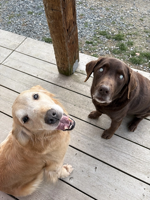 cocoon itoshima 待ちに待った春