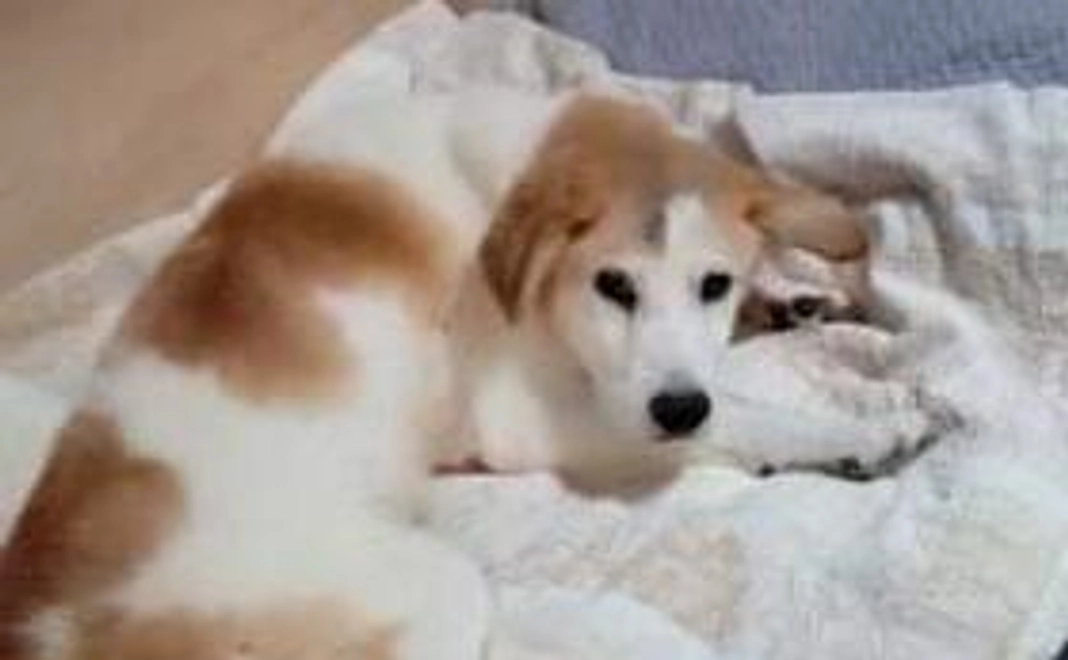 ちょっと1杯のおすそ分け〜乾杯を一緒に〜