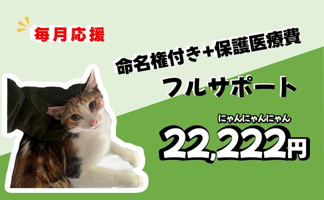 命名権付+保護医療費フルサポート