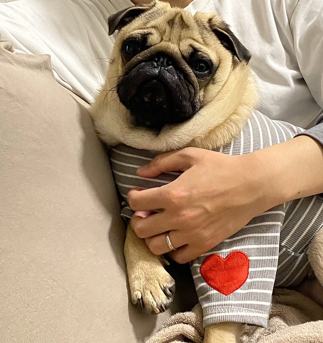 ダイエットも治療のうち