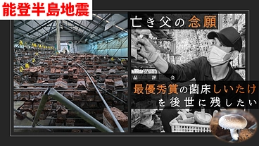 能登半島地震｜亡き父の念願、品評会最優秀賞の菌床しいたけを後世へ のトップ画像