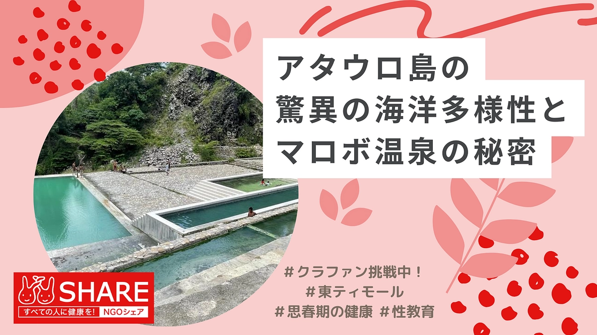 東ティモールの自然と文化：ダイビング、温泉、そしてサステナブルなコーヒー栽培