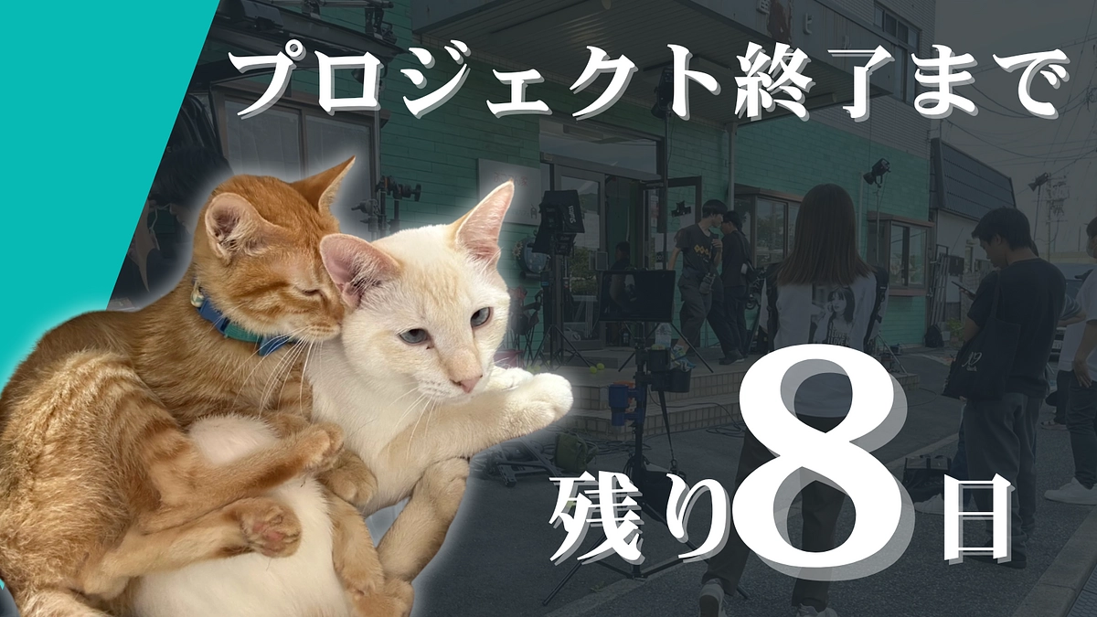 【終了まで、残り8日】最後の挑戦、絶対に諦めません！