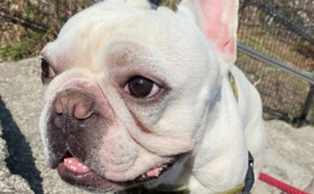 エルの応援隊②