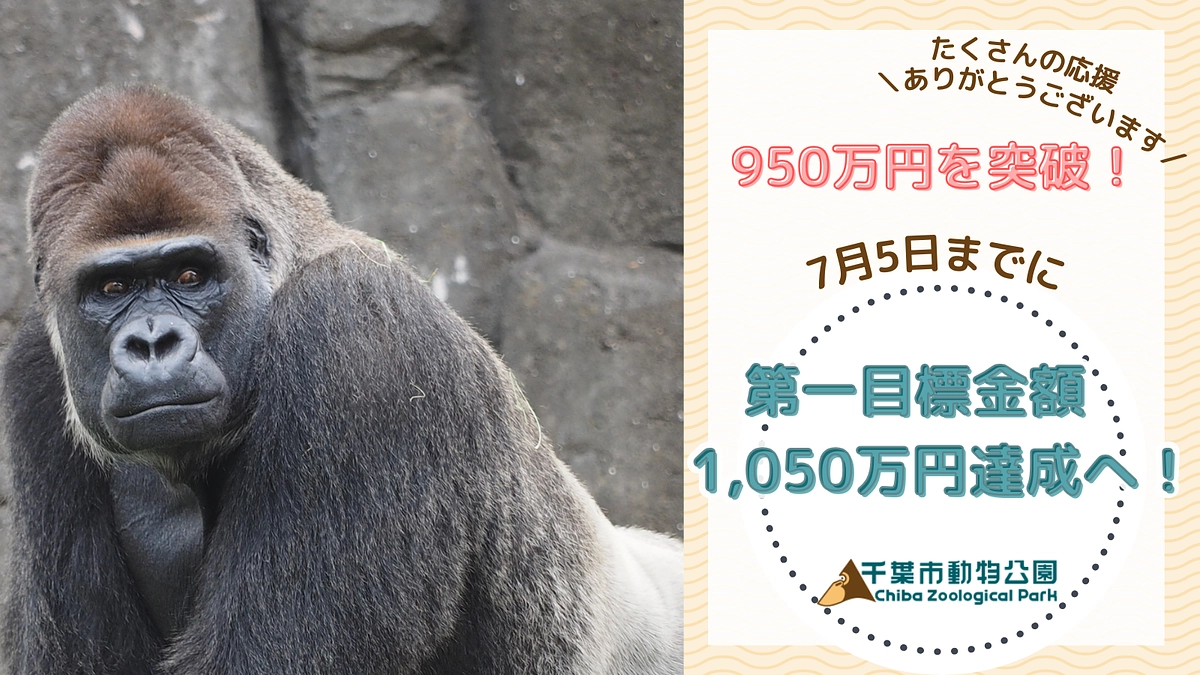 【本当にあともう少し！】第一目標達成まであと100万円を切りました！！