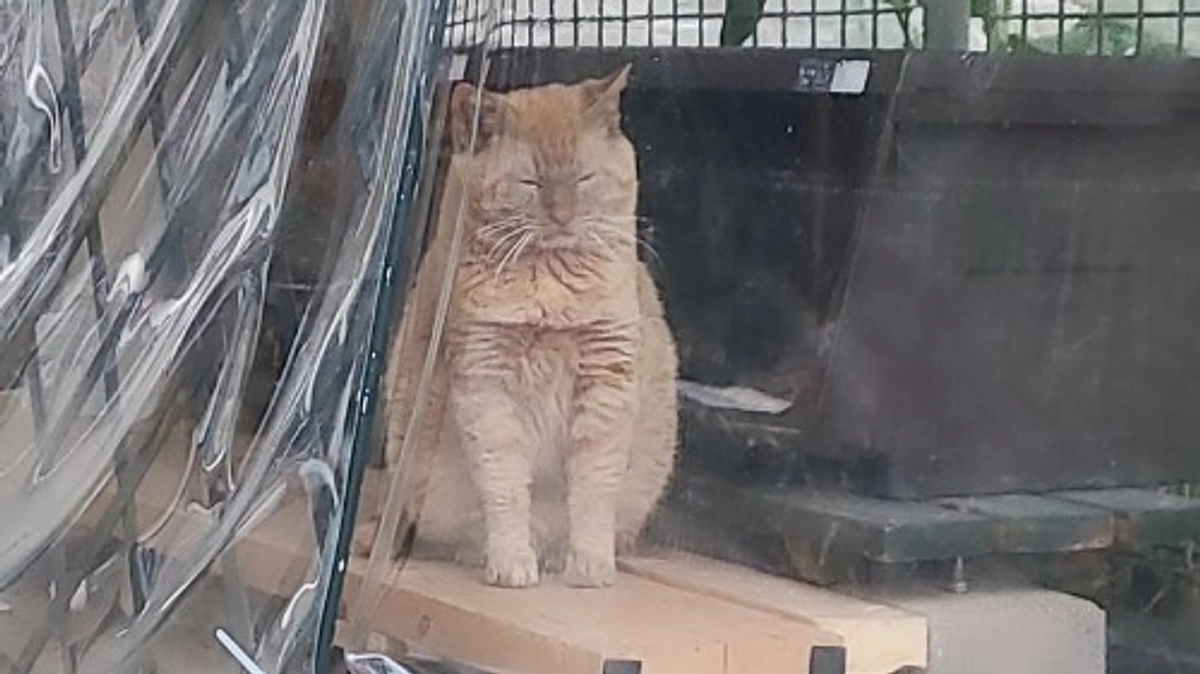 【残り11日！80%達成ありがとうございます🌷】「心情、感情、気持ち」 #関わる人で運命が決まる