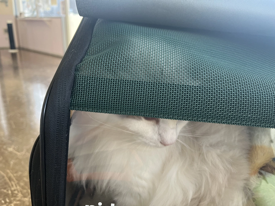 0924 定期健診行って来ました。