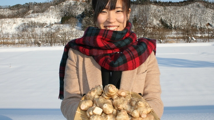 山形特産！健康・美容にいいキクイモの普及を目指した商品開発！