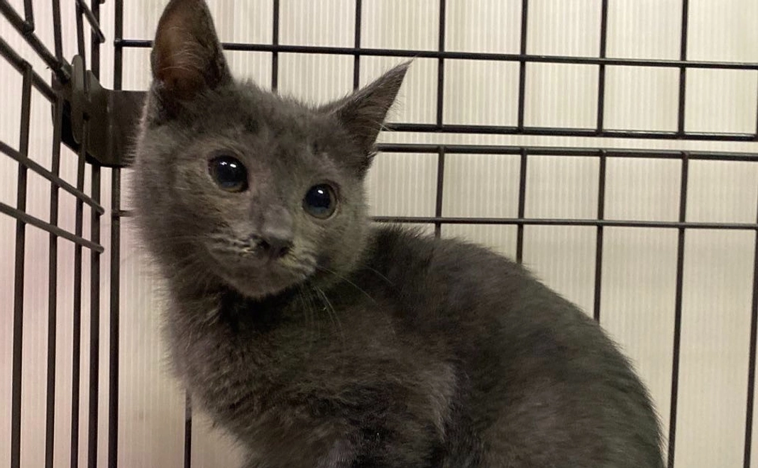 感謝のメール｜3千円