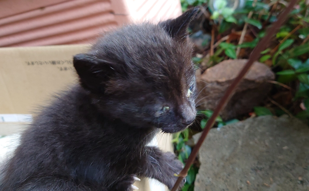 感謝のメール・写真