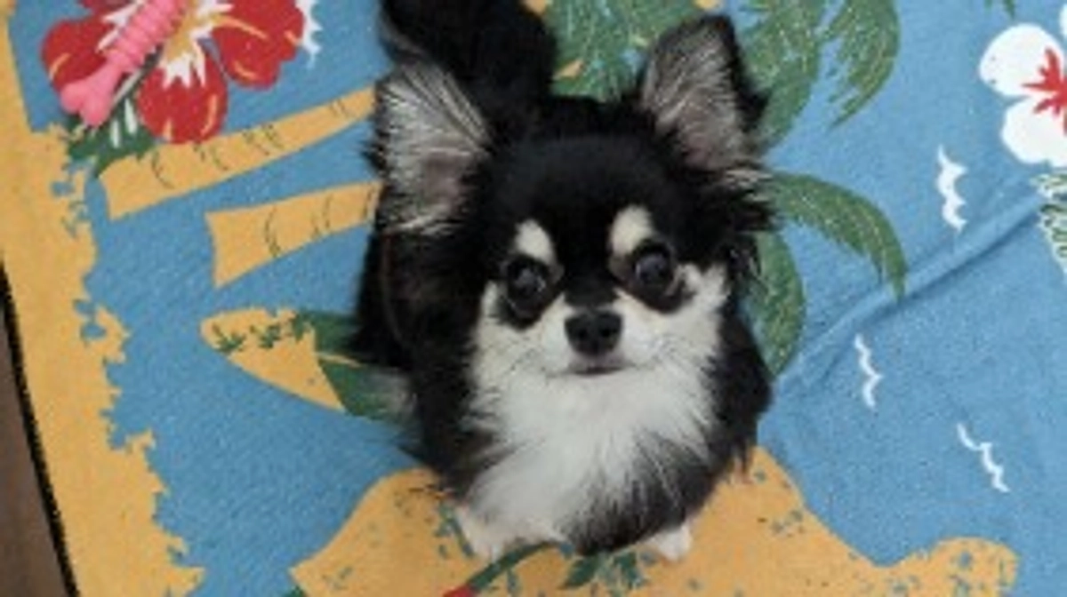 今日は暑い1日でしたね