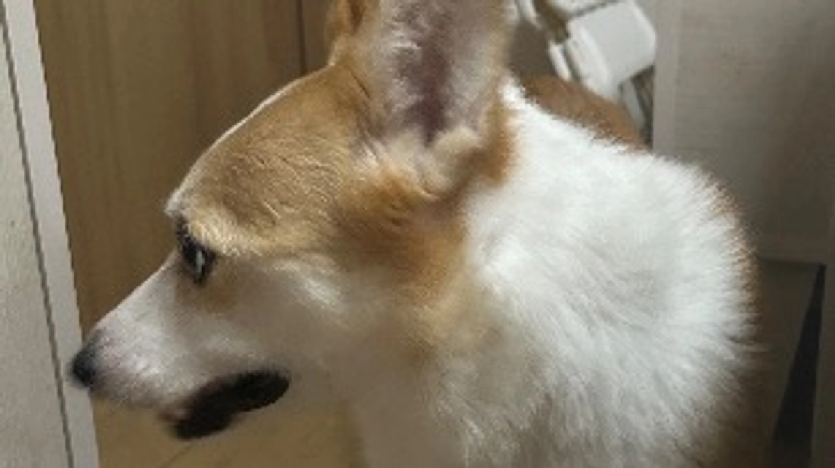 今日は7回目の抗がん剤予定日でした！クラファン終了まであと1日🙌🏻