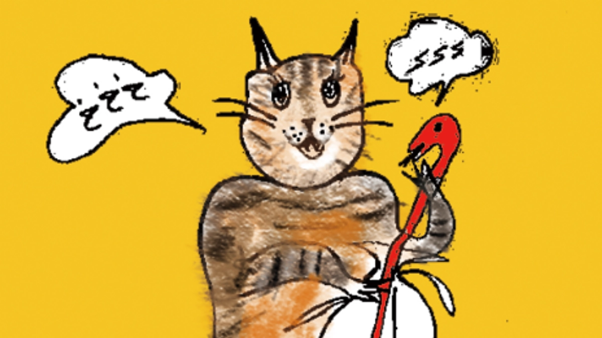 アレッポの緊急事態、サラーハ君の近況と支援のお願い