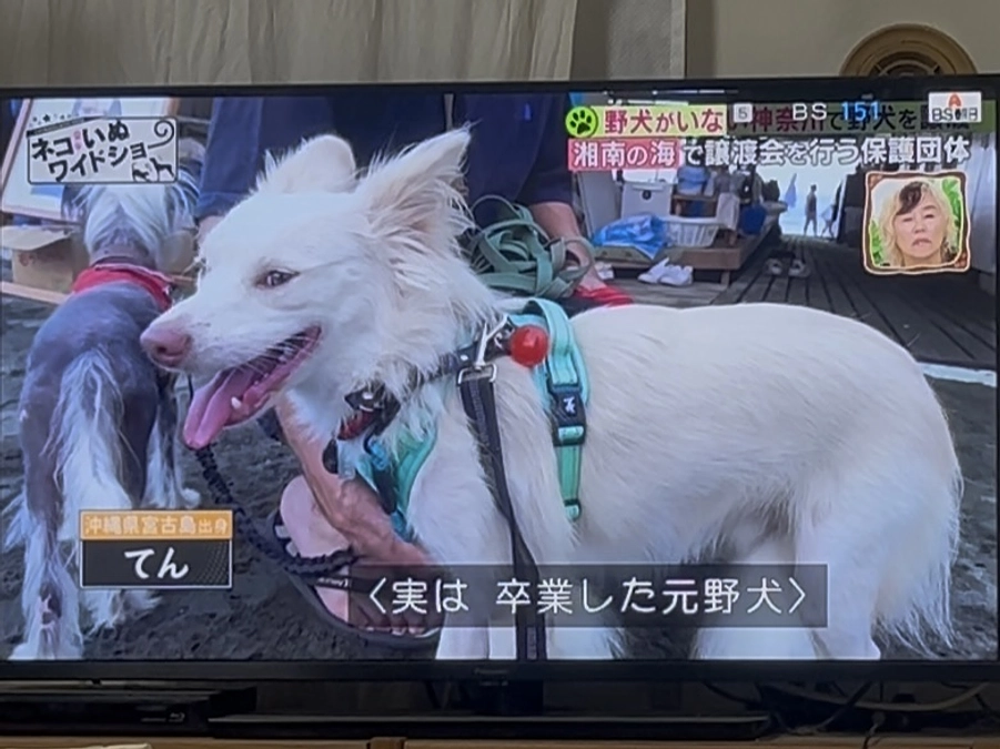 継続支援と代理支援について