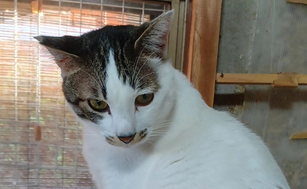 感謝のメール⑩