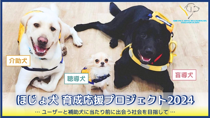 ほじょ犬育成応援プロジェクト2024｜補助犬が当たり前にいる社会へ