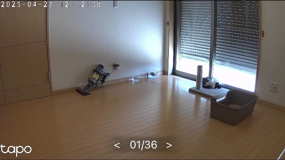 プロジェクト最後の日です