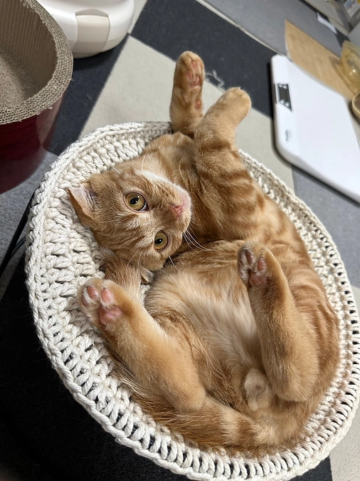 ここがお気に入りのふう