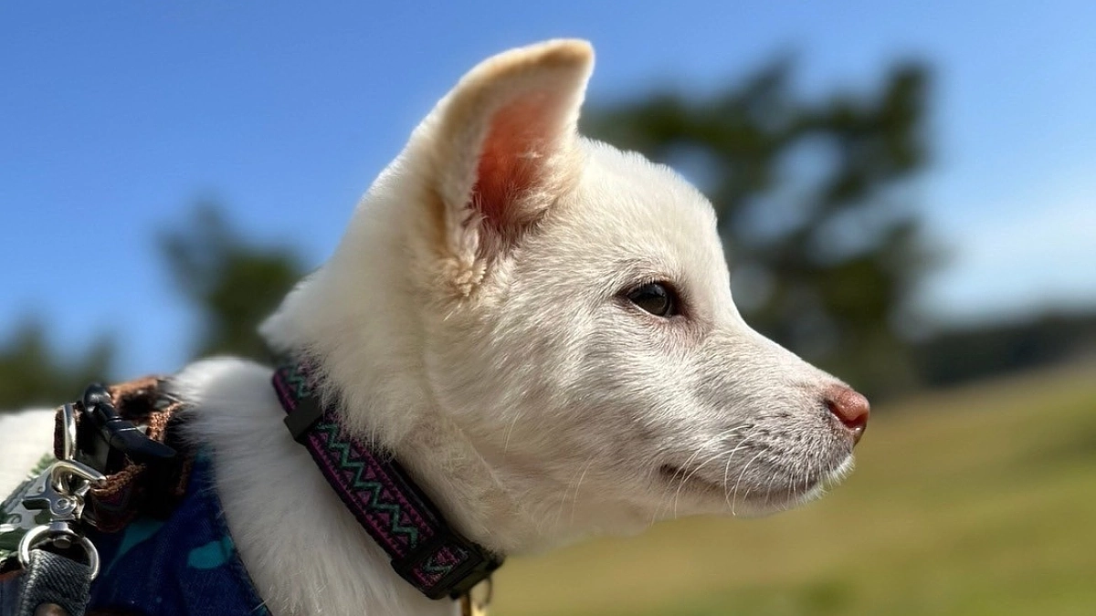 【皆様への感謝とご挨拶】今回のプロジェクトに、大きな思いと夢をかけています。