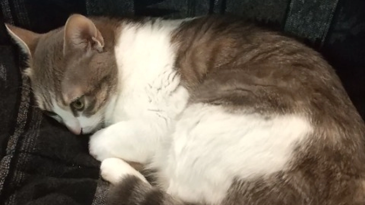 梅雨のような天気