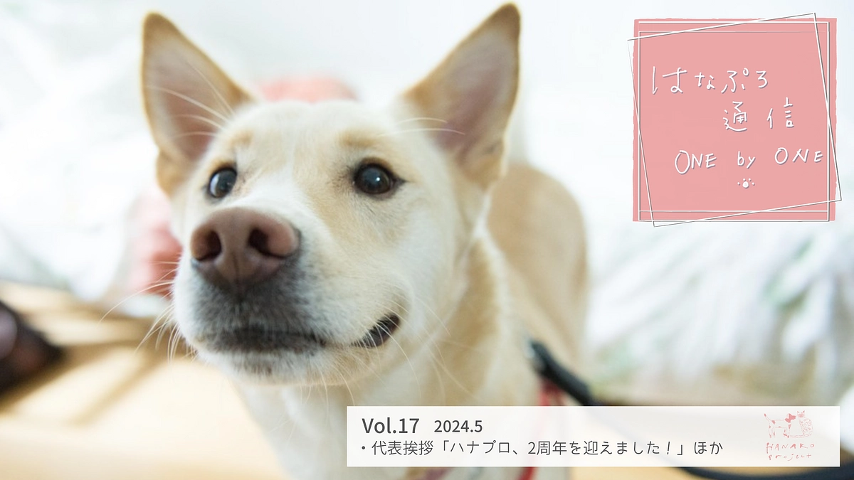 「はなぷろ通信 one by one」Vol.17