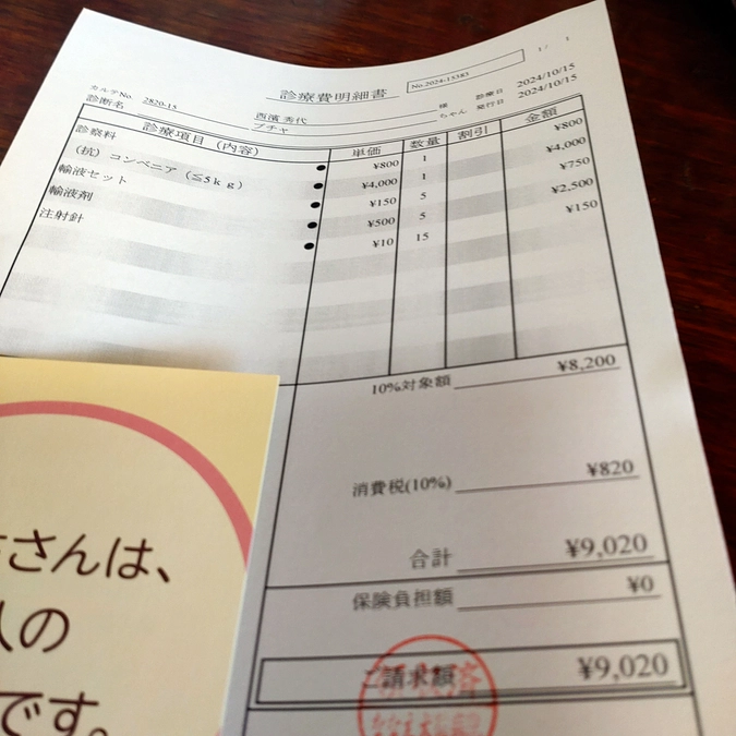 抗生剤　接種💉