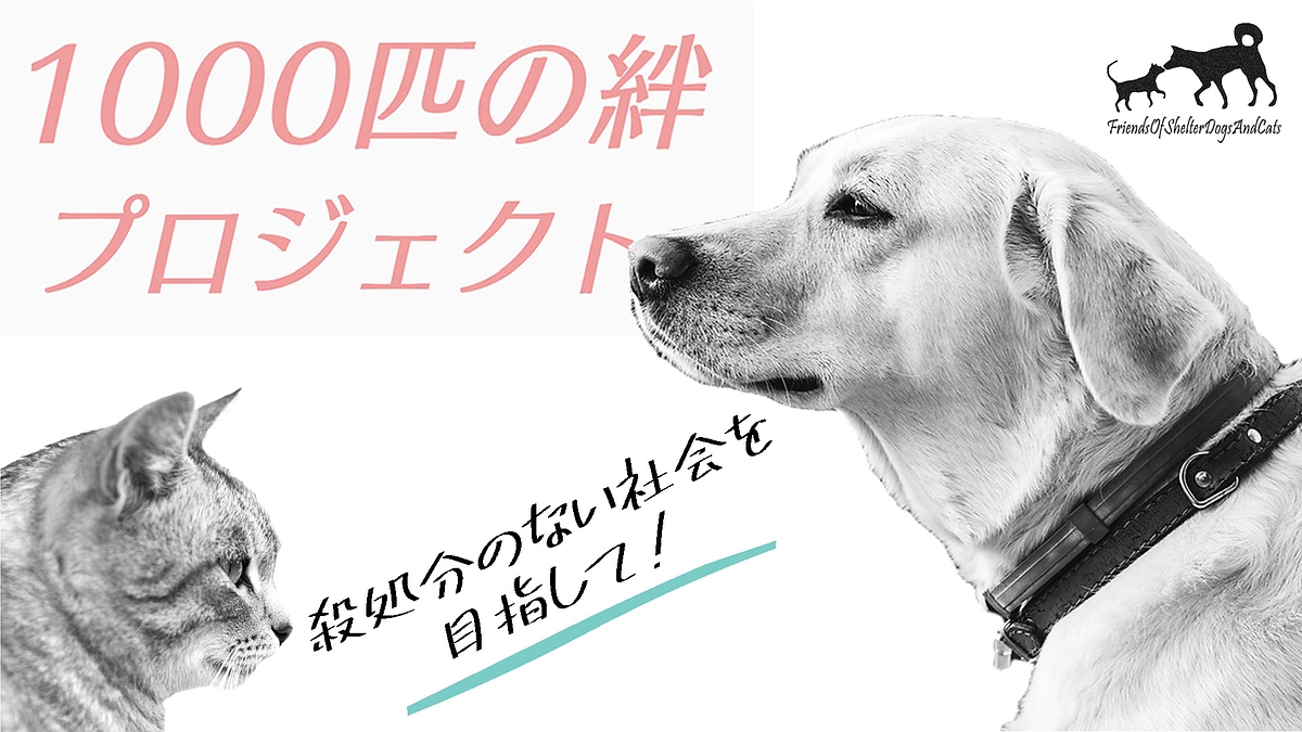 殺処分のない社会を目指して！