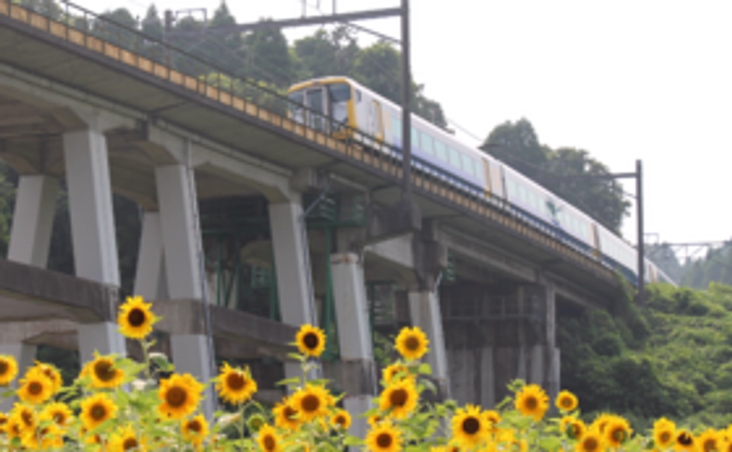 感謝の気持ちを込めたメールをお送りします