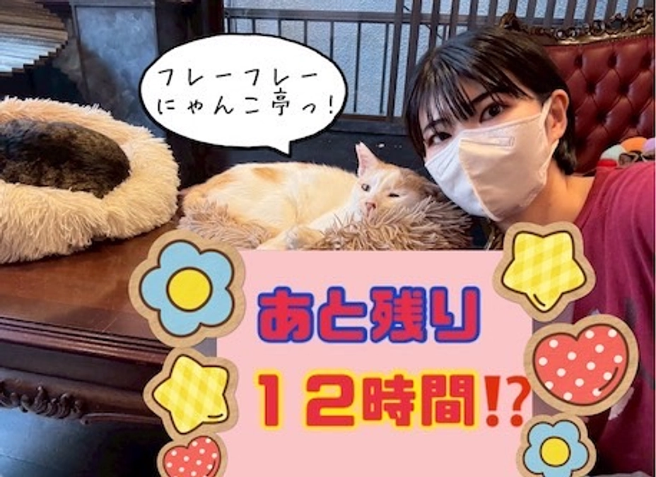 あと12時間‼️