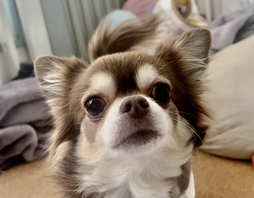 クラウドファンディング終了まで残り10日！！