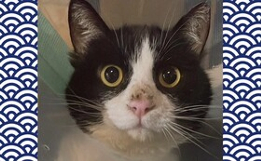 感謝のメール①