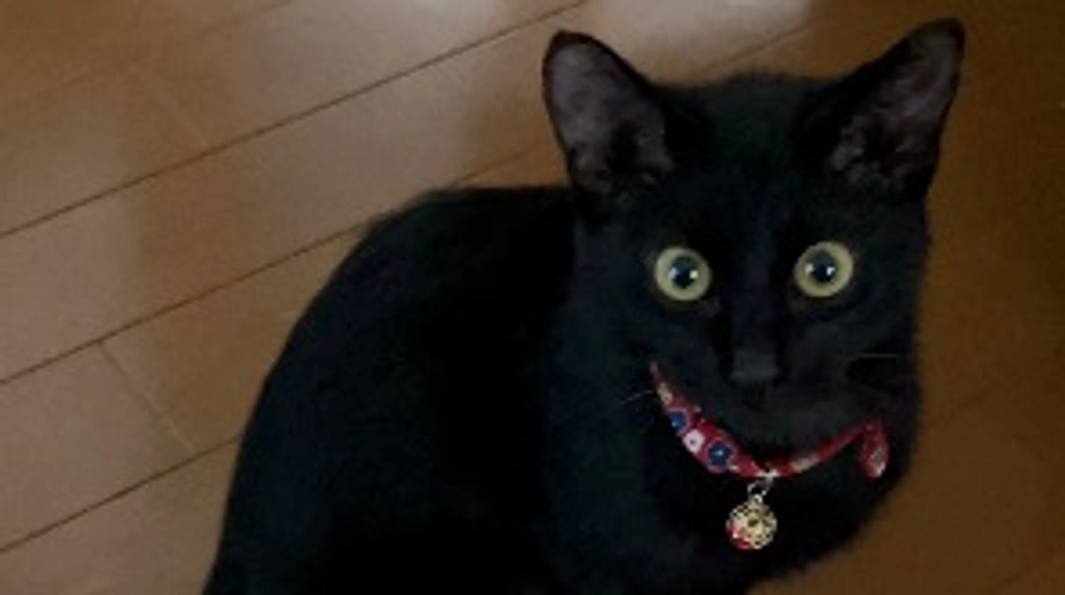 クラウドファンディング達成しました！