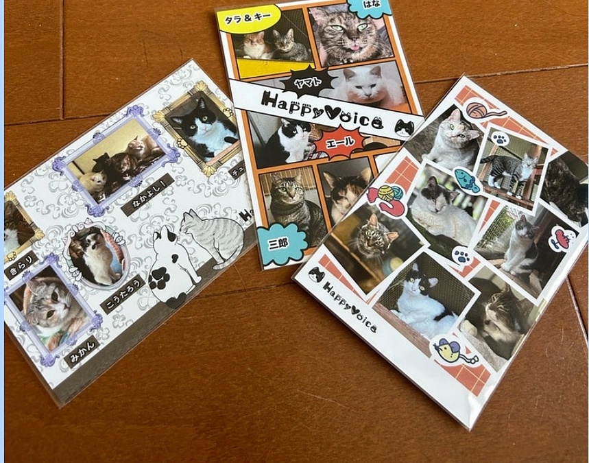 【進捗情報⑩】ポストカードのリターンコースの皆様へ