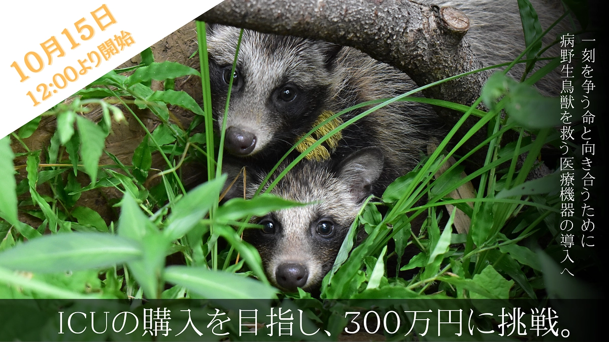 【ご支援のお願い】クラウドファンディング　ICUの導入を目指して