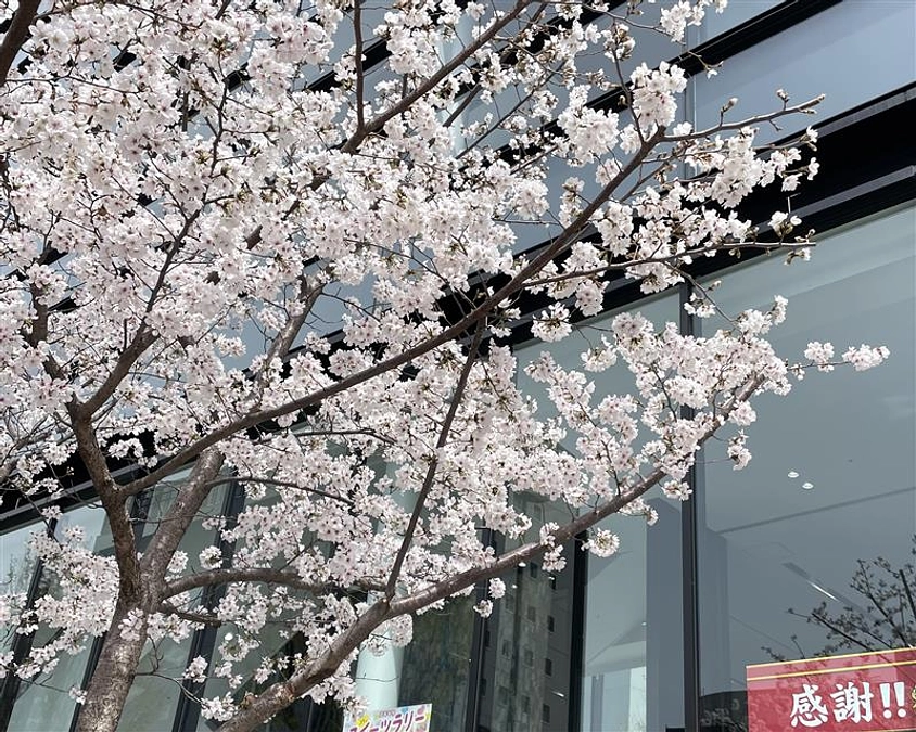 「記憶の解凍」この１年～御礼そして振り返り～