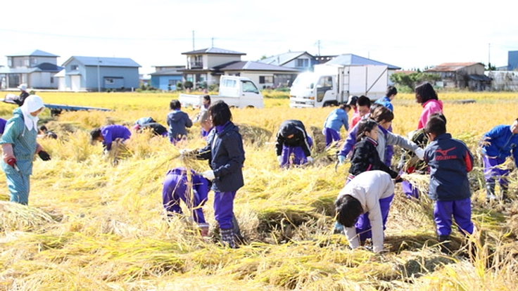 『田んぼアート』で秋田県八郎潟町を活性化させたい！