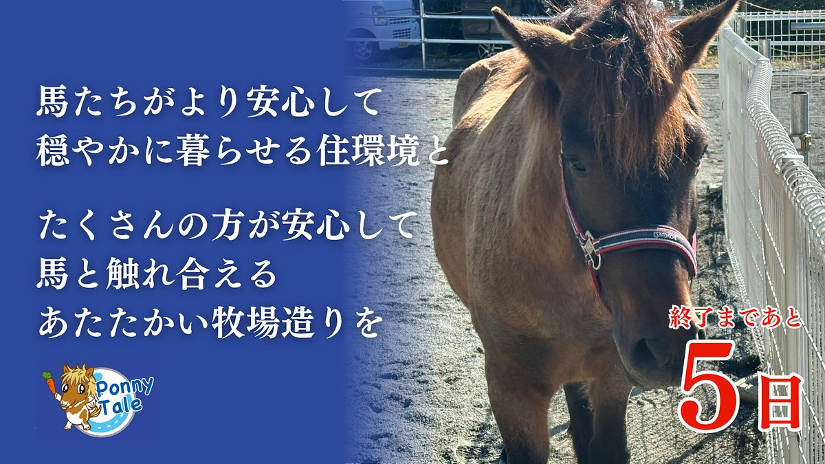 【残り5日】最後まで諦めないぞ！