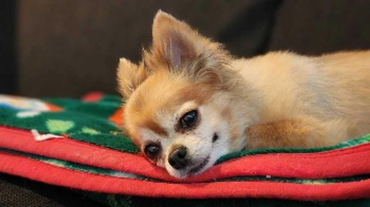 みなさまの温かさに感謝【活動報告18日目】