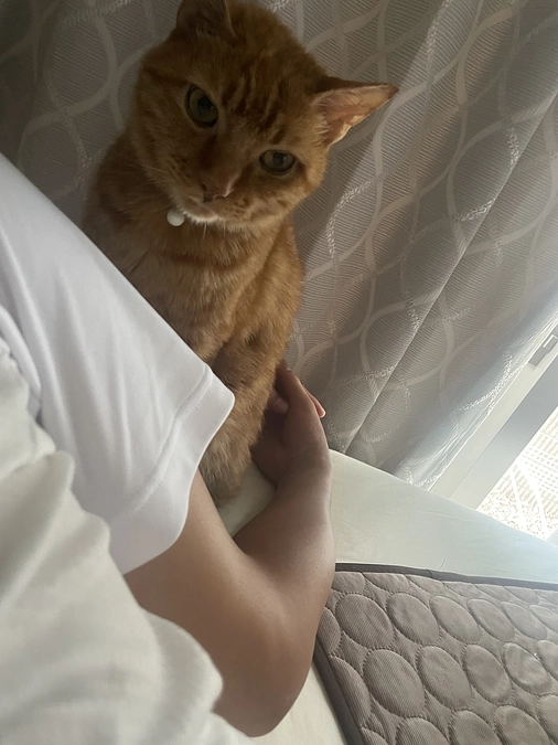 抗がん剤9週目頑張るぞ　🐯