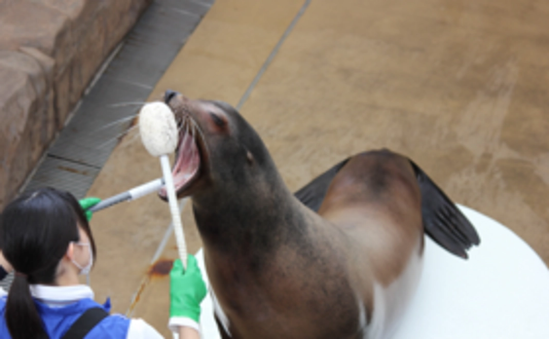 ペア入館券＋ポストカードで応援 1万円コース