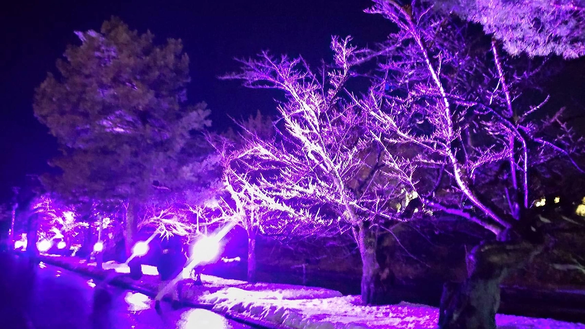 上杉雪灯篭まつり1日目！雪国の冬が桜色に！！