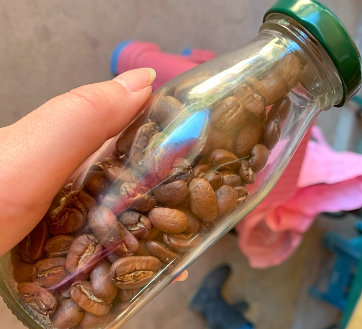 台湾珈琲農園へ行く⑤