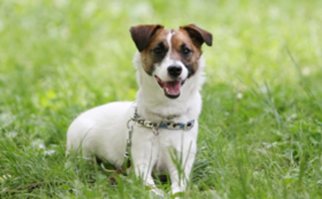 取材報告書をお送りします