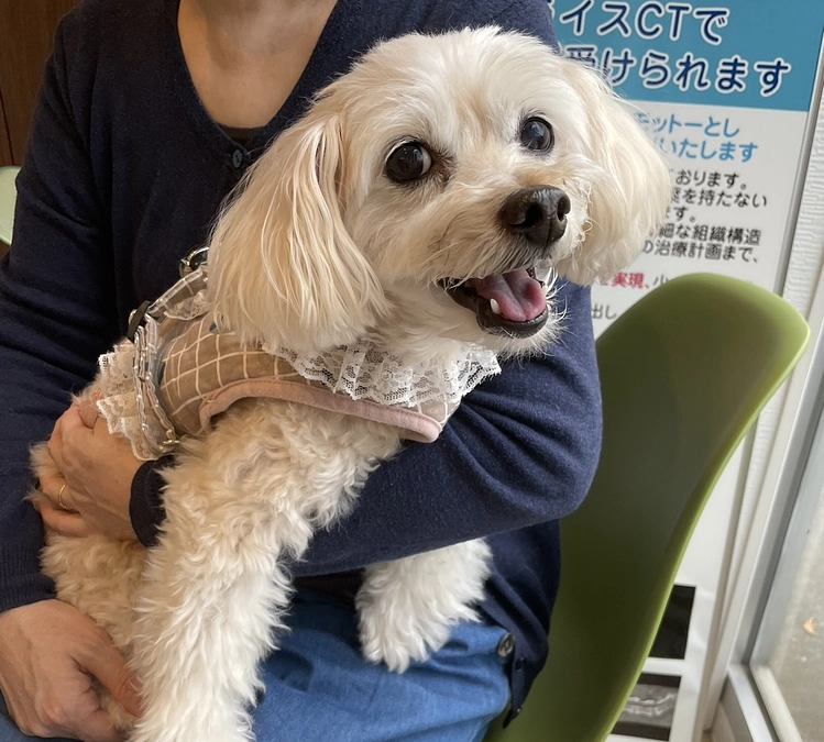 プロジェクト スタート