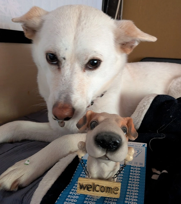 tonnyatawoでは子供たちに購入したけど使わないお品を㊥古品として出品させて頂いております。