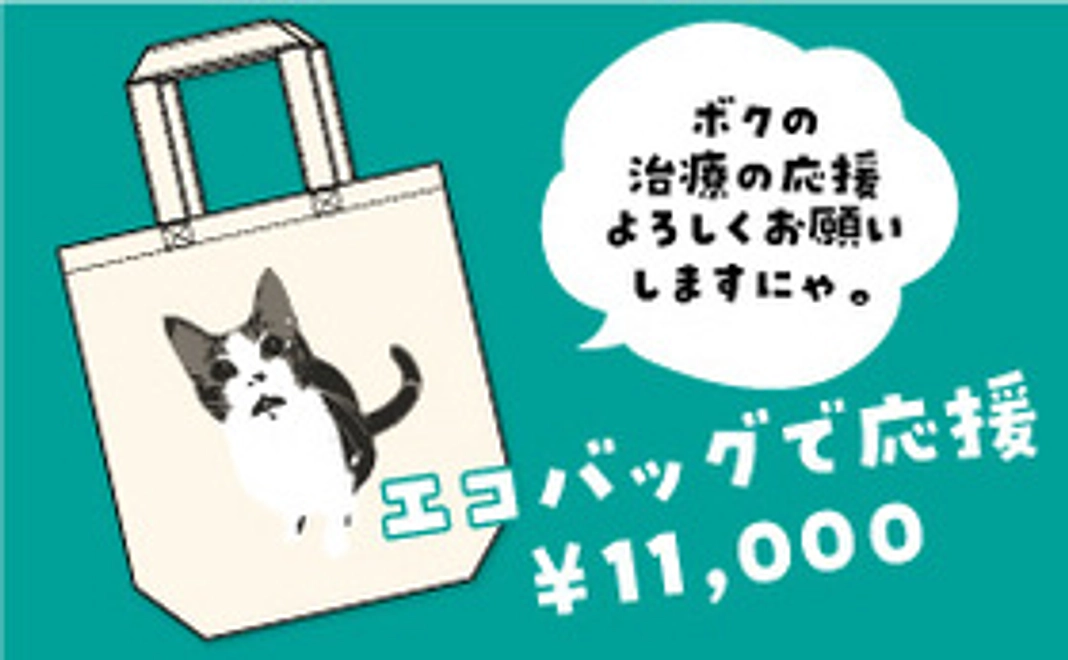保護猫太郎のエコバッグで応援コース11,000円