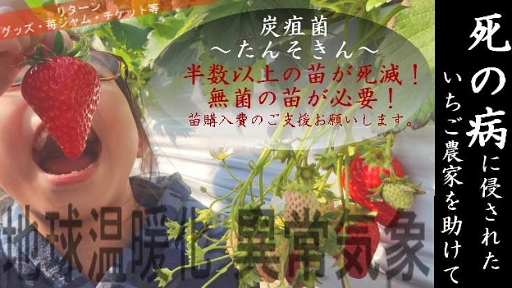 【異常気象】【死の病】炭疽菌~たんそきん~に侵された農家を助けて!